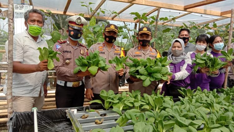 Polres Sarolangun Ubah Lahan Tidur Jadi Kebun Hidroponik