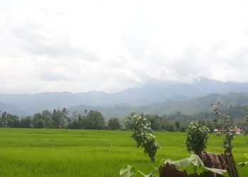 Sekepal Tanah Surga