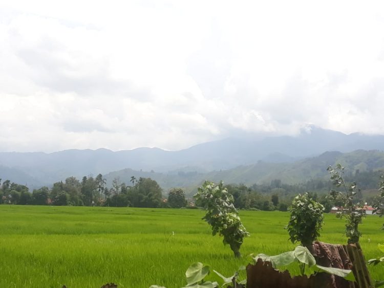 Sekepal Tanah Surga