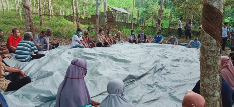 Al Haris bersama petani karet Muhamujirin Mestong dan Jaluko, Kabupaten Muarojambi, Rabu (4/11). FOTO: IST