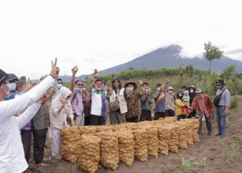 Syafril Nursal bersama masyarakat petani kentang Desa Giri Mulyo, Kayu Aro Barat, Rabu (3/11). FOTO: IST