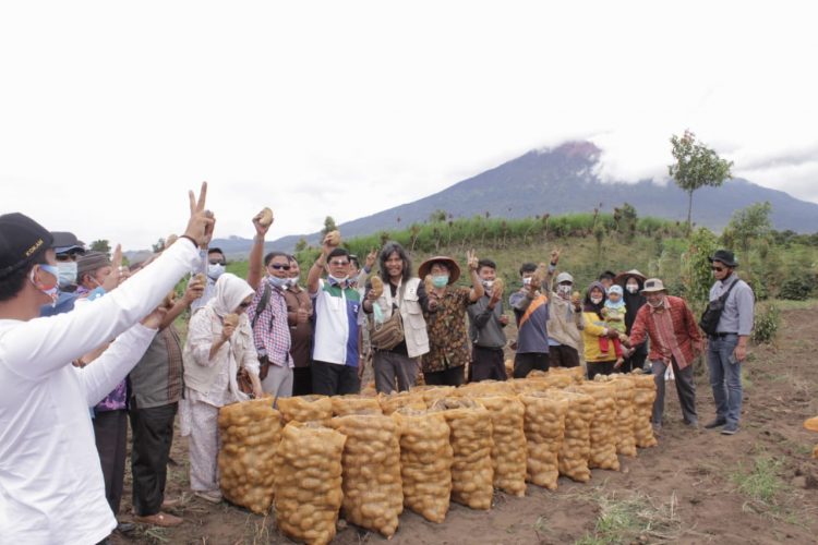 Syafril Nursal bersama masyarakat petani kentang Desa Giri Mulyo, Kayu Aro Barat, Rabu (3/11). FOTO: IST