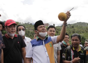 Syafril Nursal Harapkan Jeruk Gerga Kerinci Menjadi Jeruk Nomor Satu Dunia