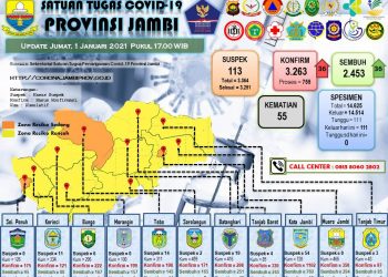 Pasien Covid-19 Sembuh di Jambi Terus Meningkat