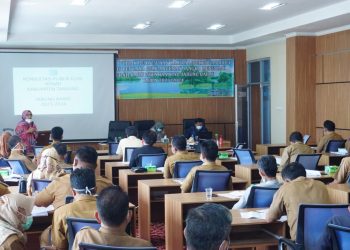 Konsultasi Publik KLHS RPJMD, Guna Perencanaan Pembangunan Berkelanjutan di Tanjabbar