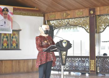 Respons Presiden soal Gernas BBI, Pj Gubernur Jambi Dukung UMKM Berdaya Saing Global