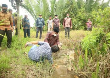 Bupati Tanjabbar Tinjau Lokasi Bencana