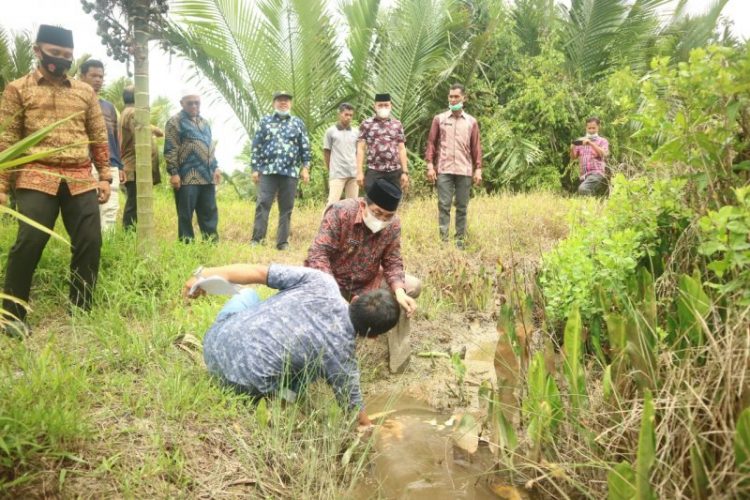Bupati Tanjabbar Tinjau Lokasi Bencana