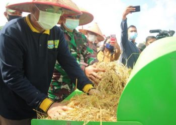 Bupati Hadiri Acara Syukuran Panen Padi di Desa Pembengis