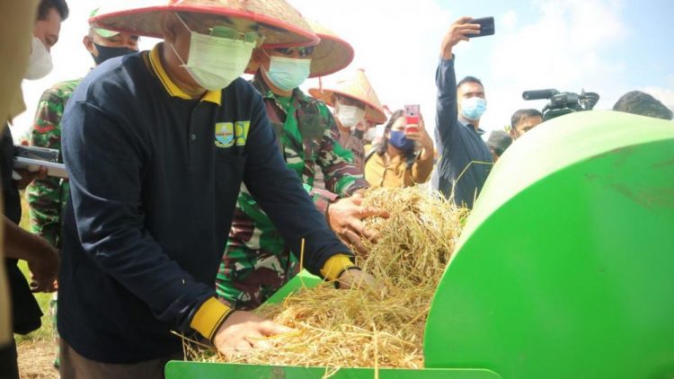 Bupati Hadiri Acara Syukuran Panen Padi di Desa Pembengis