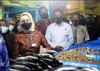Gubernur dan Satgas Pangan Cek Stok Kebutuhan Pangan Pokok Jambi
