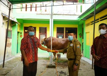 Al Haris Serahkan Hewan Kurban dari Presiden Jokowi di Mesjid Al Falah