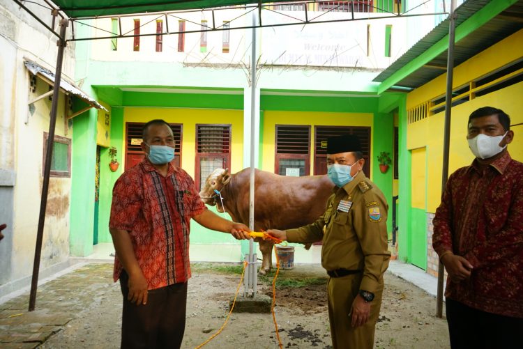 Al Haris Serahkan Hewan Kurban dari Presiden Jokowi di Mesjid Al Falah