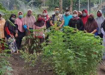 Anggota DPRD Kota Jambi Tinjau Persiapan Kampung Bantar