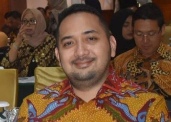 DPRD Provinsi Jambi Minta Maskapai Tambah Penerbangan