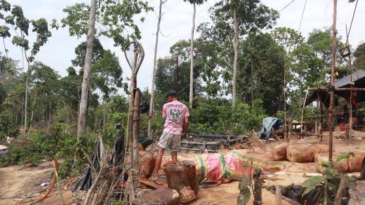 Orang Rimba Menyuarakan Penolakan Keras Terhadap Illegal Drilling dan Perambahan Hutan di Hutan Harapan