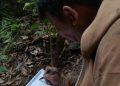 Membangun Kesejahteraan dan Kehijauan: Kisah Petani Desa Sungai Penoban yang Pulihkan Hutan Sosial