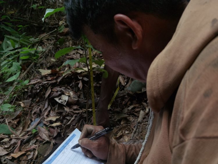 Membangun Kesejahteraan dan Kehijauan: Kisah Petani Desa Sungai Penoban yang Pulihkan Hutan Sosial