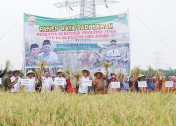 Pj Bupati Muaro Jambi Ikut Panen Padi dan Serahkan Bantuan untuk Tingkatkan Produktivitas Pertanian