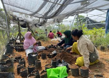 Srikandi Lestari Mandiri: Perempuan Pelestari Hutan yang Menggerakkan Ekonomi Hijau di Desa Sungai Penoban