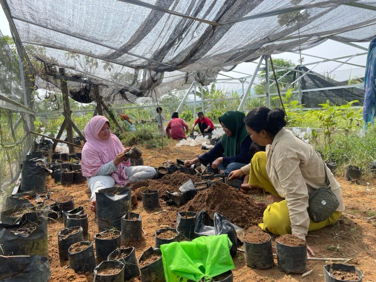 Srikandi Lestari Mandiri: Perempuan Pelestari Hutan yang Menggerakkan Ekonomi Hijau di Desa Sungai Penoban