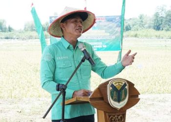 Bupati Batang Hari MFA Menghadiri Panen Raya di Kelurahan Kampung Baru Muara Tembesi