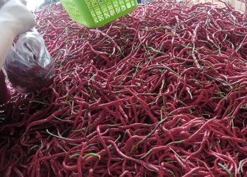 Pantau Harga Cabai, Pemkot Jambi Intensif Tekan Inflasi saat Ramadan