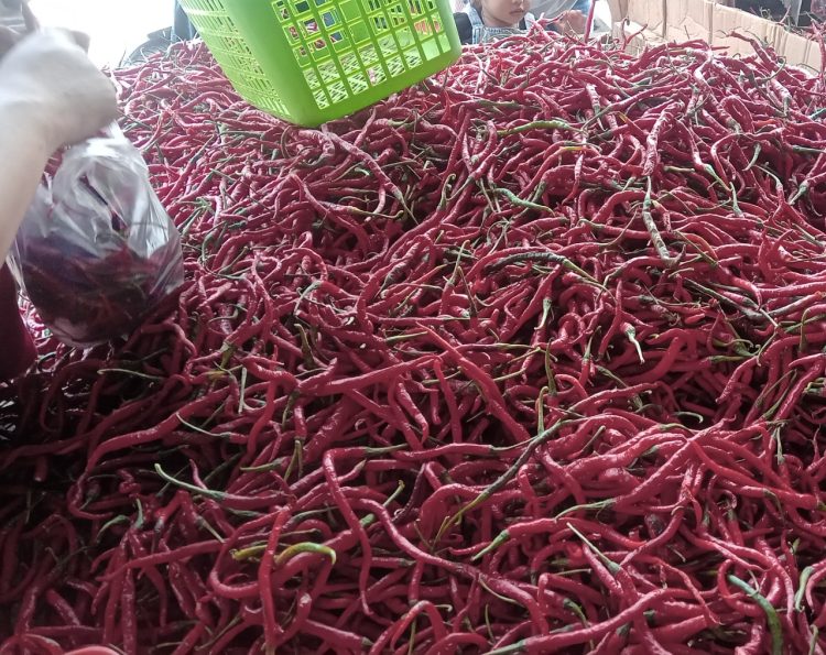 Pantau Harga Cabai, Pemkot Jambi Intensif Tekan Inflasi saat Ramadan
