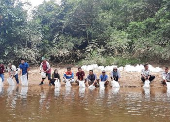 Pertamina Dukung Pelestarian Arwana Green Pino, Wujud Nyata Harmoni Ekonomi dan Ekologi dari Jambi