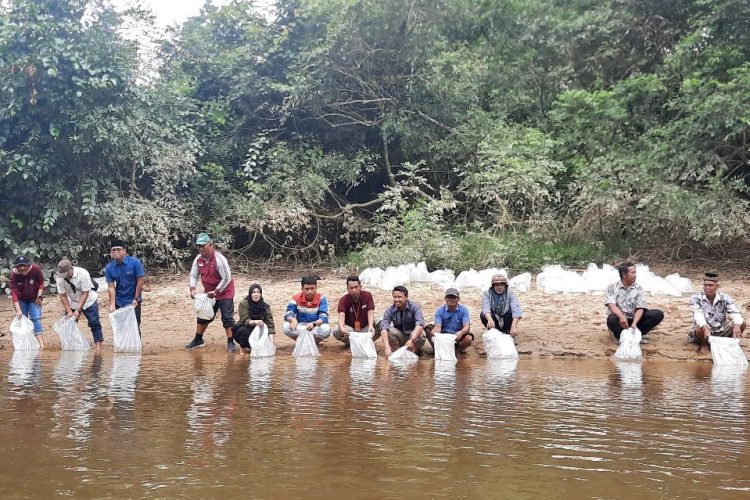 Pertamina Dukung Pelestarian Arwana Green Pino, Wujud Nyata Harmoni Ekonomi dan Ekologi dari Jambi