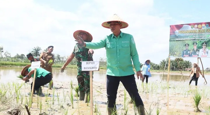 Bupati Batanghari dan Dandim 0415/Jambi Tanam Padi Serentak Dukung Swasembada Pangan Nasional