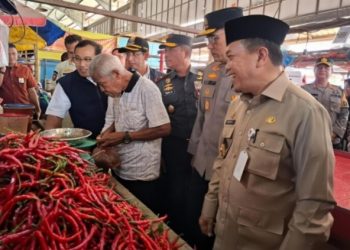 Jelang Lebaran, Gubernur Jambi Bersama Kapolda dan Danrem Tinjau Harga dan Stok Pangan di Pasar Angso Duo