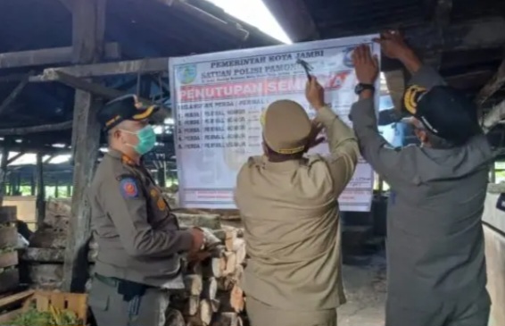 Peternakan Babi Tak Berizin di Sijenjang Disegel Pemkot Jambi