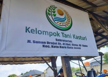 Dukung Program RI-1, Kelompok Tani Kasturi Simpang III Sipin Siapkan 1 Ha Lahan Kebun Jagung