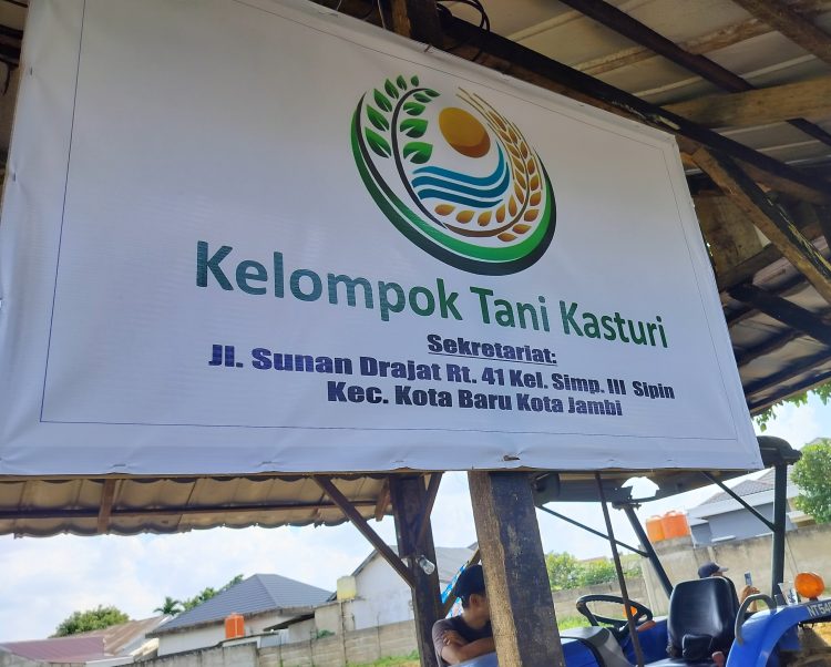 Dukung Program RI-1, Kelompok Tani Kasturi Simpang III Sipin Siapkan 1 Ha Lahan Kebun Jagung