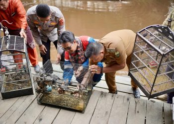 Pertamina Patra Niaga Regional Sumbagsel Dukung Pelestarian Alam Melalui Program TJSL Ecosantara, Aksi Nyata Tebar Kehidupan di Jambi
