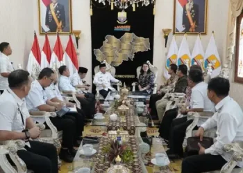 Gubernur Al Haris dan BKN Regional VII Sepakati Penerapan Sistem Merit dan Manajemen Talenta