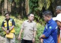 Gubernur Jambi Didampingi Kadis PUPR Tinjau Pekerjaan Pelebaran Jalan Ness