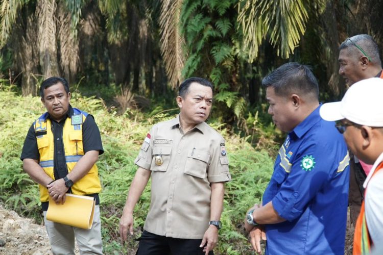 Gubernur Jambi Didampingi Kadis PUPR Tinjau Pekerjaan Pelebaran Jalan Ness