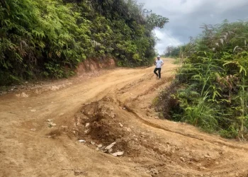 Dinas PUTR Jambi Targetkan Perbaikan Jalan Ranah Pemetik Dimulai April 2026