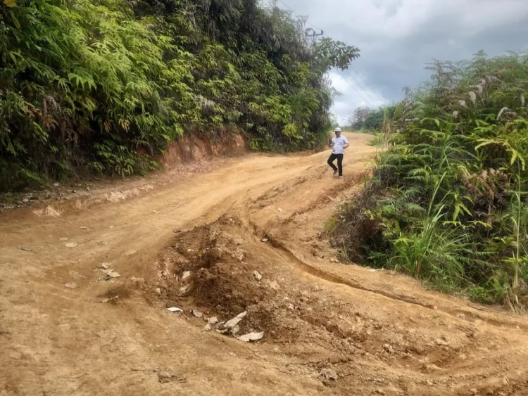 Dinas PUTR Jambi Targetkan Perbaikan Jalan Ranah Pemetik Dimulai April 2026