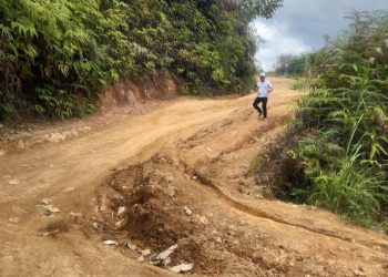 PUTR Provinsi Jambi Targetkan Perbaikan Jalan Ranah Pemetik Kerinci Mulai April 2026