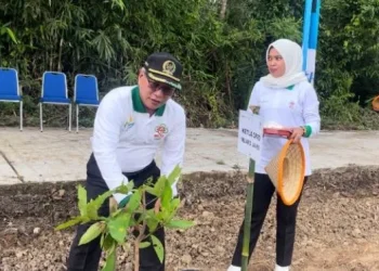Aidi Hatta: Pembangunan Harus Sejalan dengan Pelestarian Lingkungan